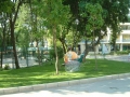 mpo_copy